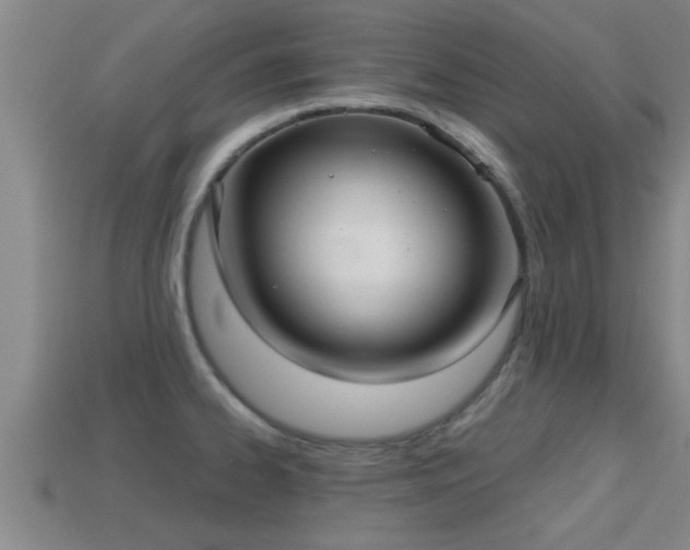 X0000113201334200909171506