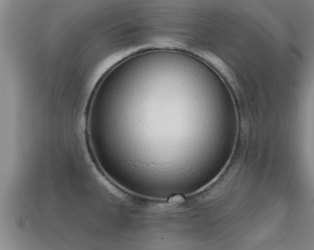 X0000113201335200909171506