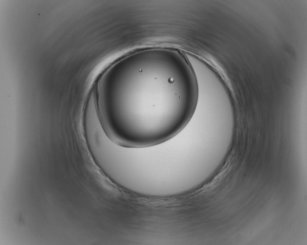 X0000113201336200909171506