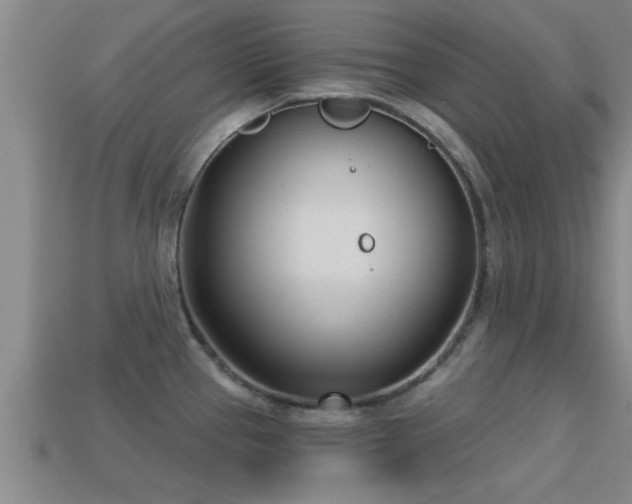 X0000113201337200909171506