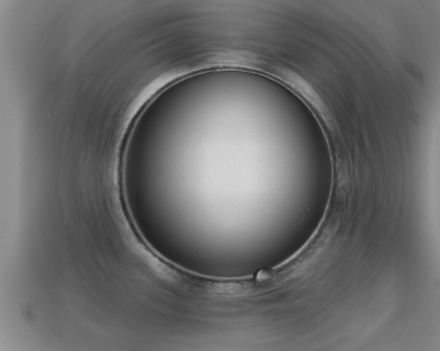 X0000113201339200909171506