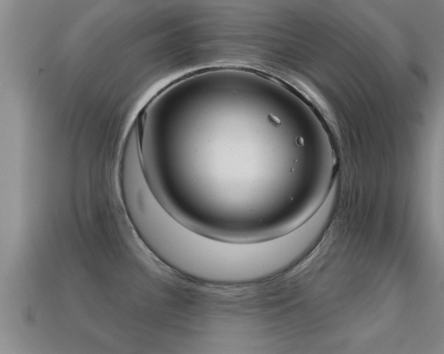 X0000113201340200909171506