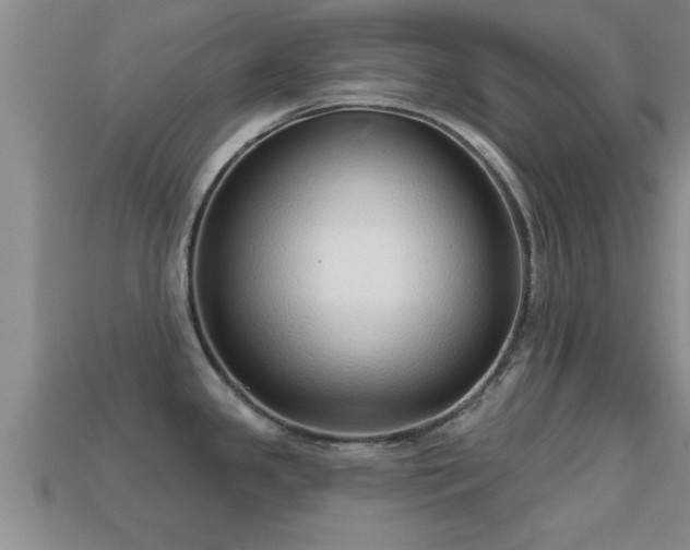 X0000113201341200909171506