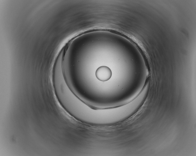 X0000113201342200909171506