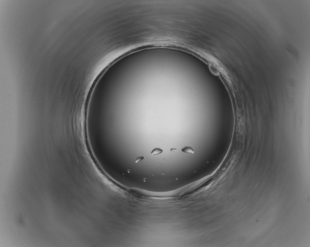 X0000113201343200909171506