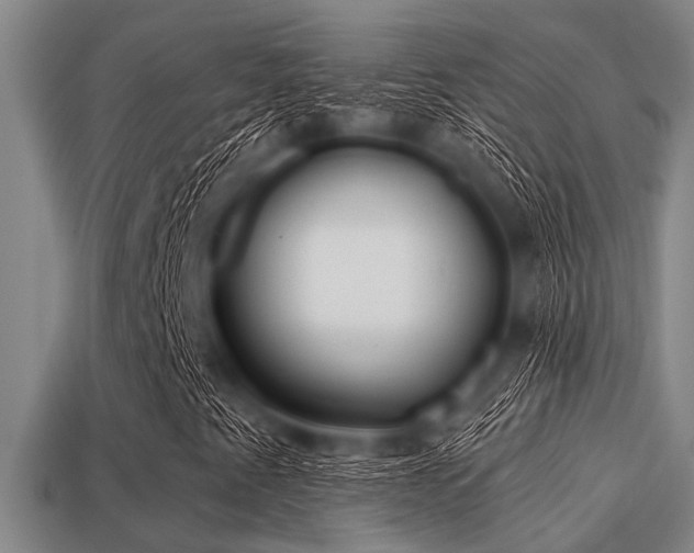 X0000113201345200909171505