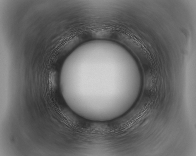 X0000113201346200909171505