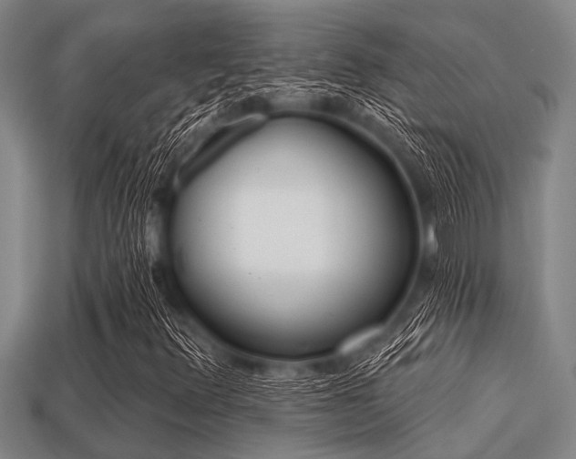 X0000113201348200909171505