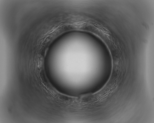 X0000113201349200909171505