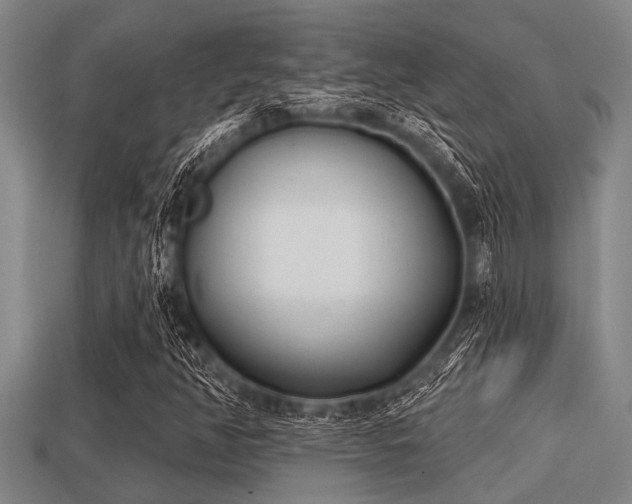 X0000113201350200909171505