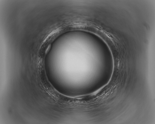 X0000113201351200909171505