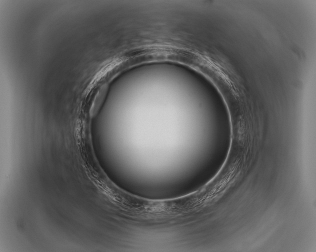 X0000113201352200909171505