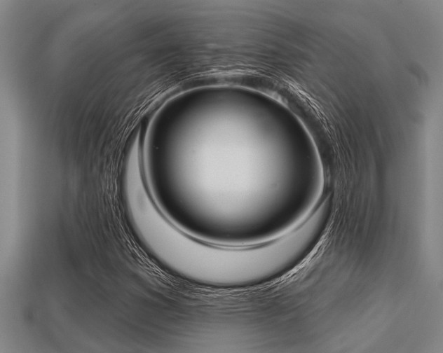 X0000113201353200909171505