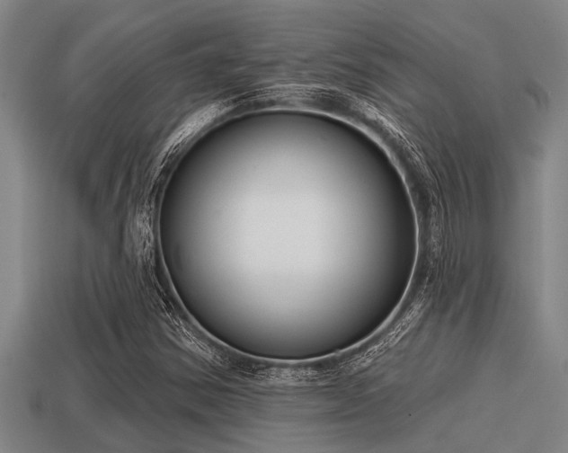 X0000113201354200909171505