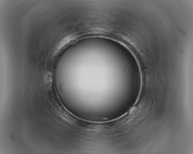 X0000113201355200909171505