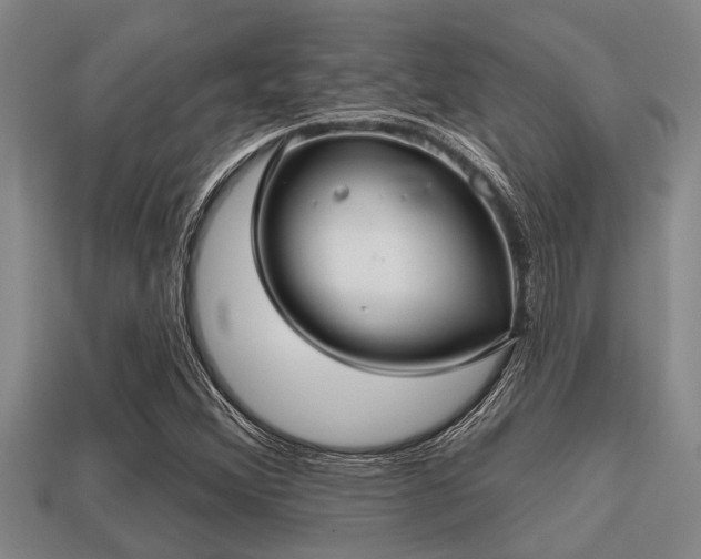 X0000113201356200909171505