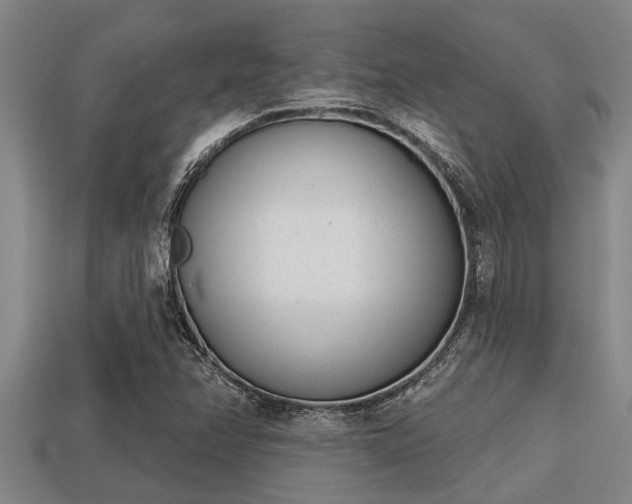 X0000113201358200909171505