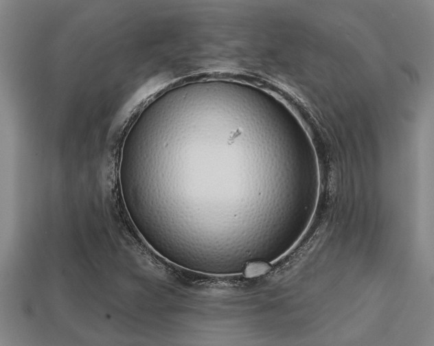 X0000113201359200909171505