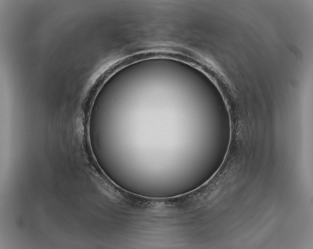 X0000113201360200909171505