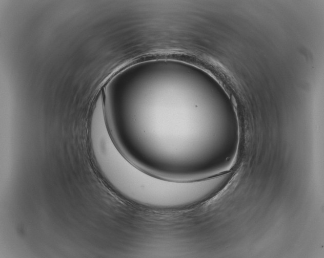 X0000113201361200909171505