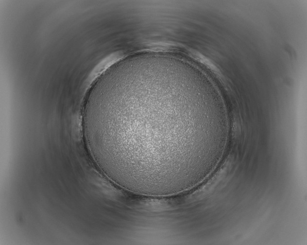 X0000113201362200909171505