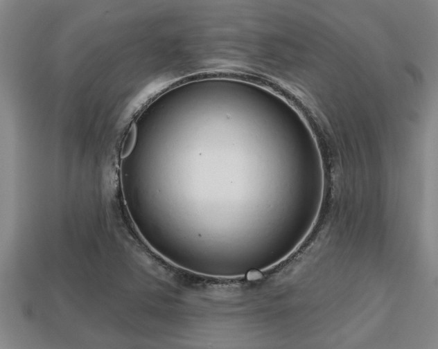 X0000113201363200909171505