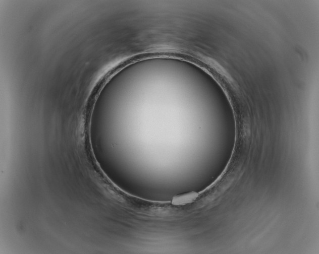 X0000113201364200909171505