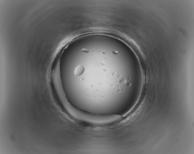 X0000113201365200909171505