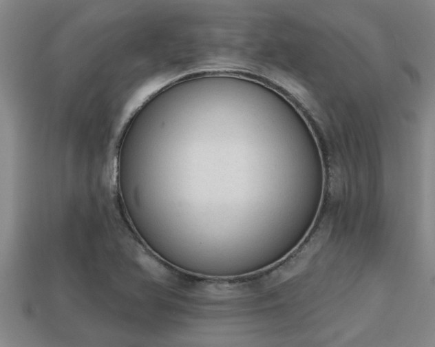 X0000113201366200909171505