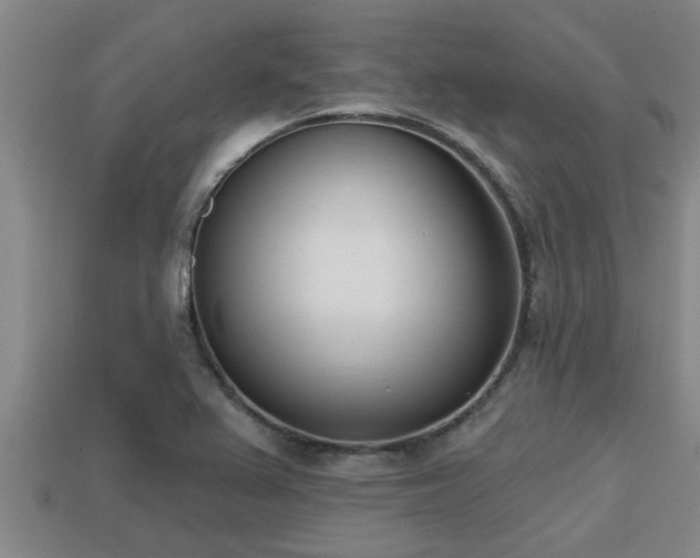 X0000113201367200909171505