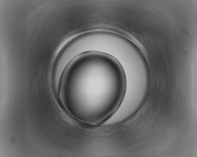 X0000113201368200909171505