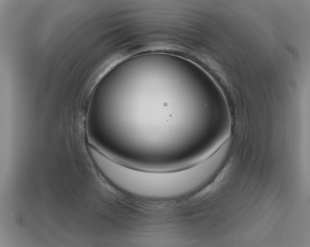 X0000113201369200909171505