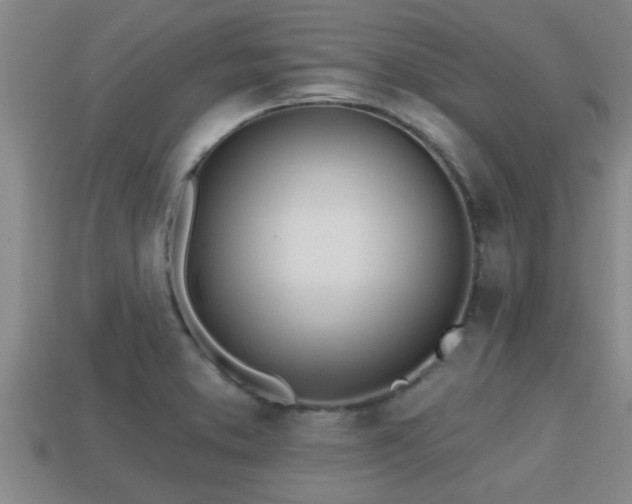 X0000113201373200909171505