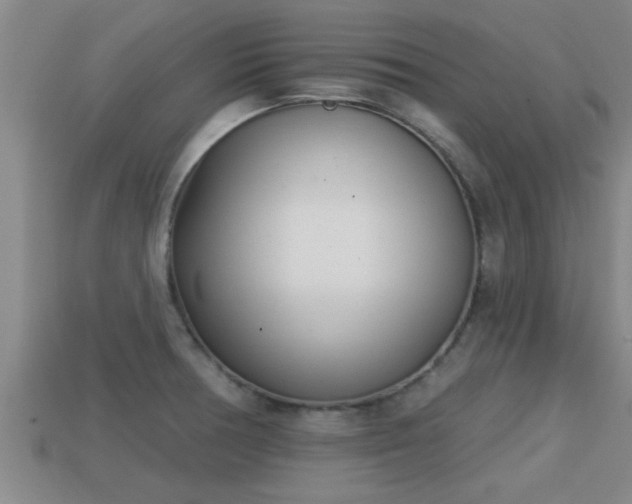 X0000113201378200909171505