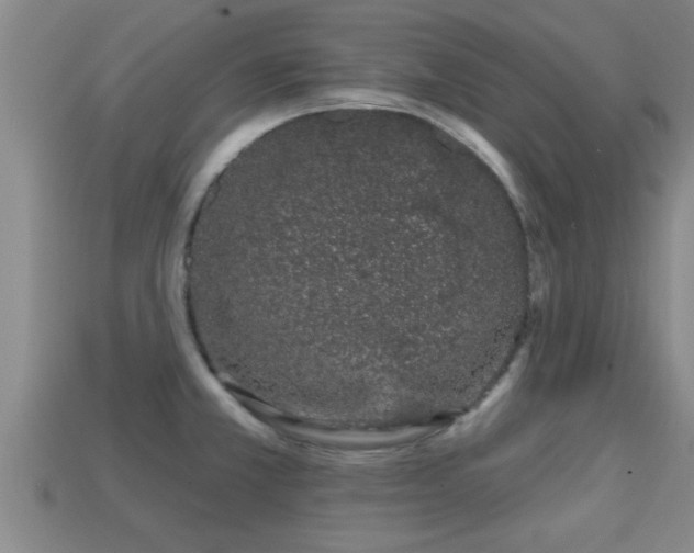 X0000113201381200909171505