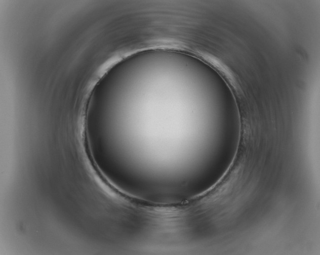 X0000113201383200909171505