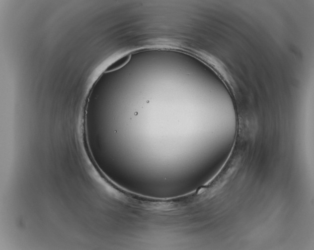 X0000113201387200909171505