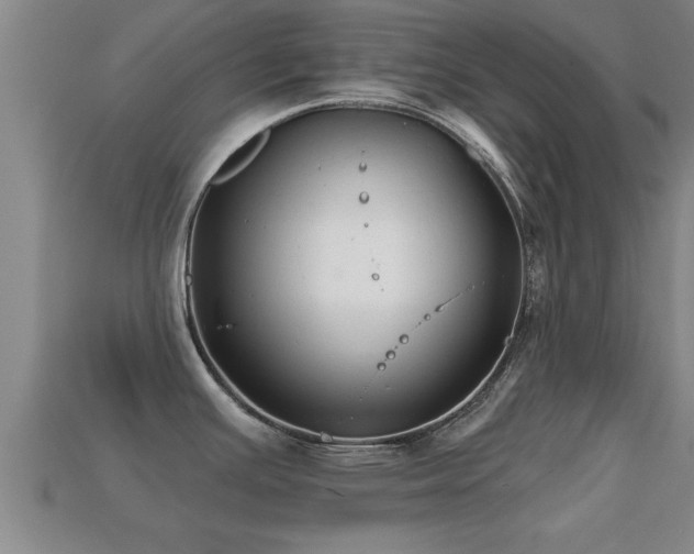 X0000113201391200909171505