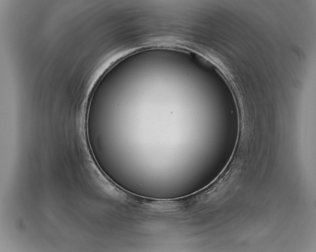 X0000113201392200909171505