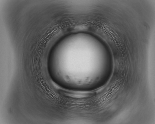 X0000113201393200909171504