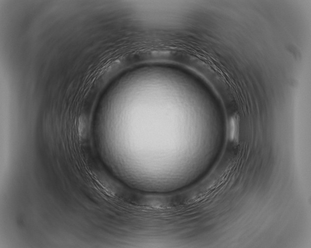 X0000113201395200909171504