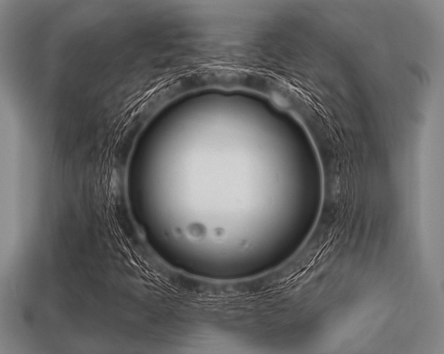 X0000113201397200909171504