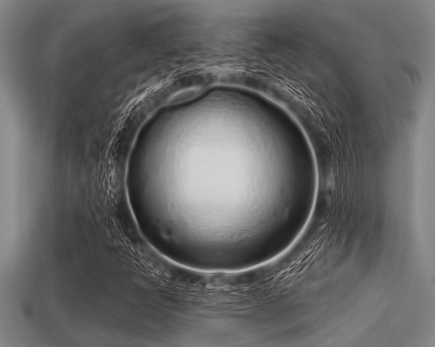 X0000113201398200909171504