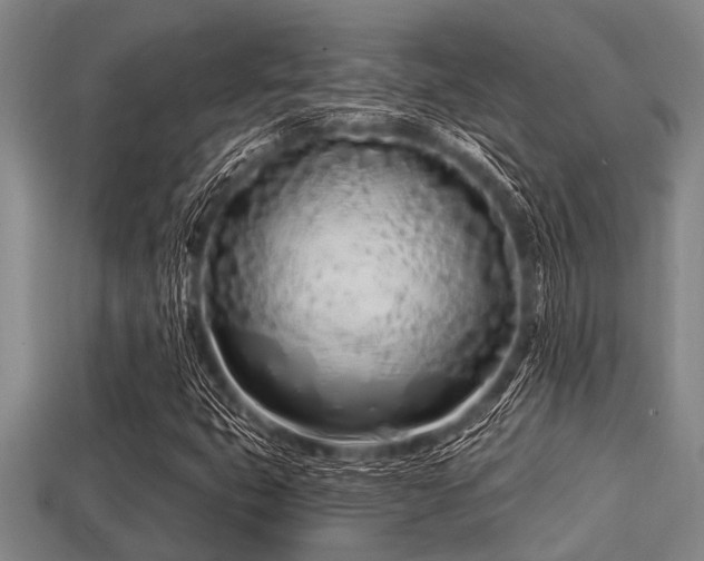 X0000113201399200909171504