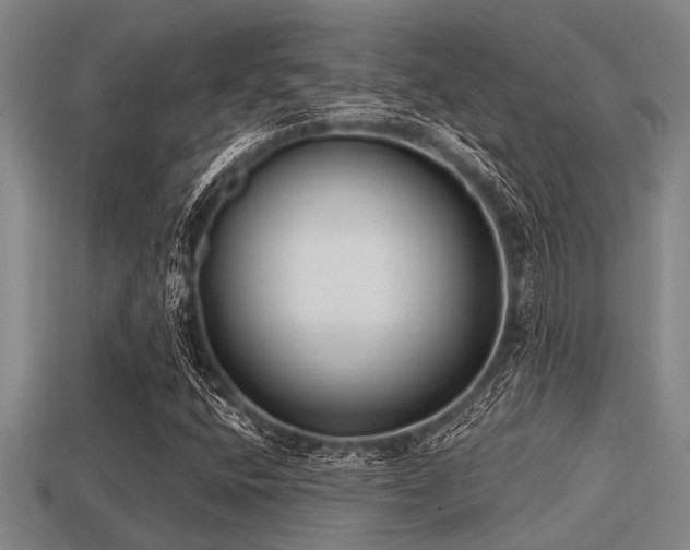 X0000113201400200909171504