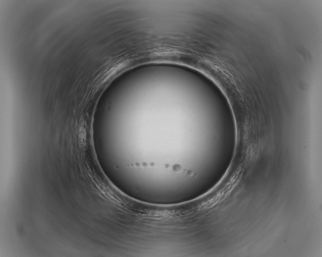 X0000113201401200909171504