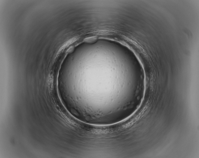 X0000113201402200909171504