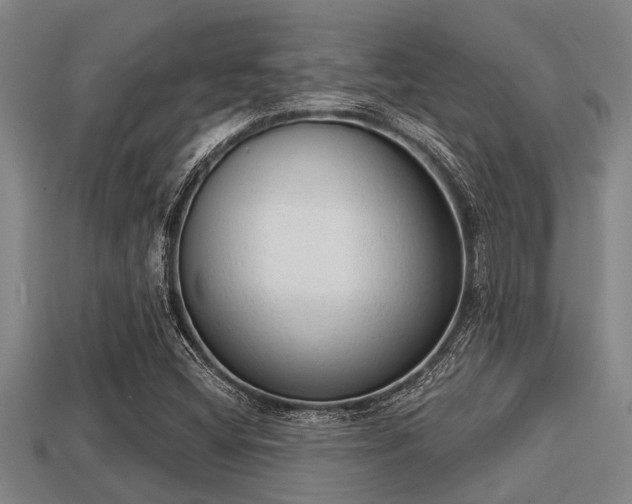 X0000113201404200909171504