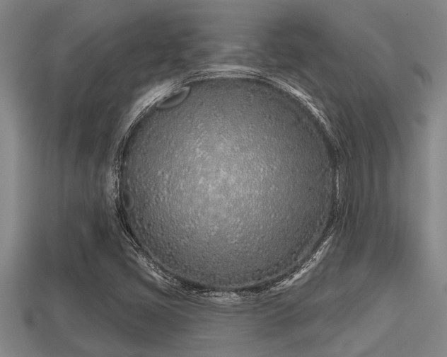 X0000113201405200909171504