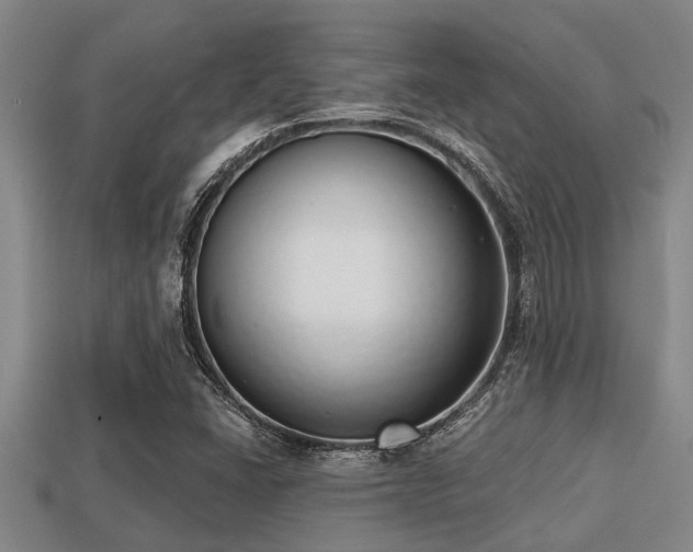 X0000113201406200909171504